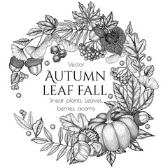Vector autumn frame in engraving style. Oak leaf, acorns, berries, maple leaves, ginkgo, chestnut, physalis, rowan, pumpkin