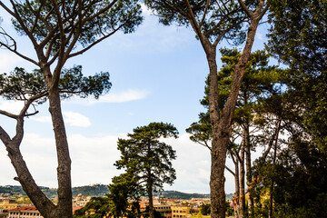 Fototapeta na wymiar Trees in the park and blue sky at Rome City, Italy.