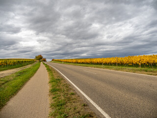 Schöne Landstraße