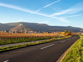 Schöne Landstraße durch idyllische Weinberge