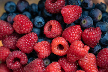 Harvest of natural blueberries and raspberries