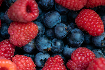Harvest of natural blueberries and raspberries