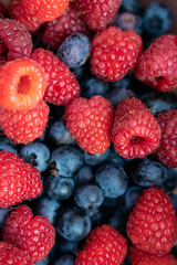Harvest of natural blueberries and raspberries