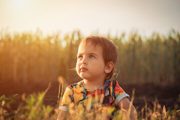 Happy child in nature. Happy childhood in the village. A child in the village, walking in a wheat field. Ukrainian