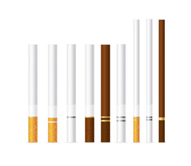 Realistic Detailed 3d Different Cigarette Set. Vector
