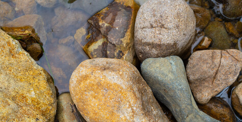 stones in the water