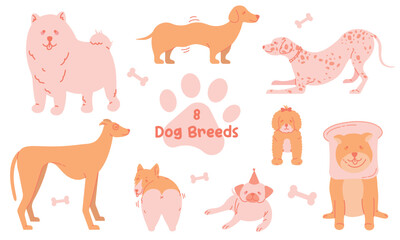 Vector Doodle Dog Breeds set. Outline Dogs in modern Flat style. Cartoon Dogs pack.