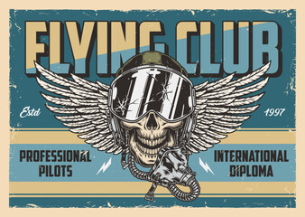 Flying club logotype vintage colorful - obrazy, fototapety, plakaty