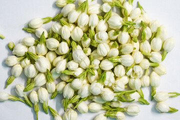 Jasmine flower buds. Beautiful flowers.