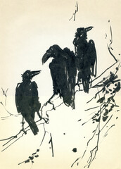 Sketch of a three crows. Three crows on a tree branch.