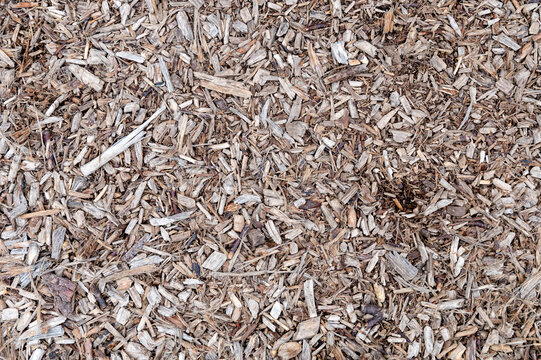 Wood sawdust as a background. Wooden sawdust in texture detail.