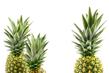 Fototapeta premium Pineapple isolated on white.