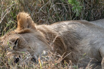 Fototapeta premium creative