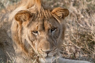 Obraz premium creative