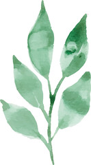 Looser Flower Watercolor