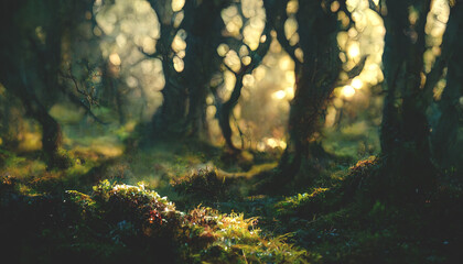 Dense forest, sun light through tree branches, forest at sunset. gloomy old forest. 3D illustration.