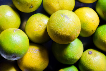Fresh orange fruits seamless background. Lime, tangerine or citrus fruits.