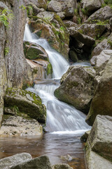 Fototapeta premium cascade on a mountain stream - water in motion - long exposure