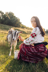 Young Ukrainian woman waters the goat from water can in traditional national clothes on pasture at sunset.