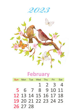 bird calendar 2023. watercolor painting. february
