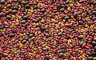 Mixed bean, pulses, seed, peas and legumes, Mixed bird feed