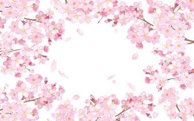 Obraz na płótnie Canvas 桜と散る花びらで囲んだフレーム。　水彩イラスト（透過背景） 