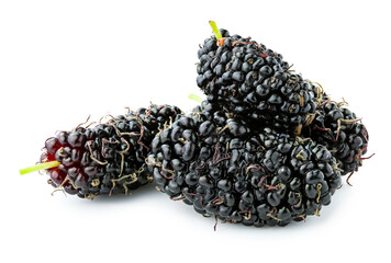 Mulberry fruit isolated on white background