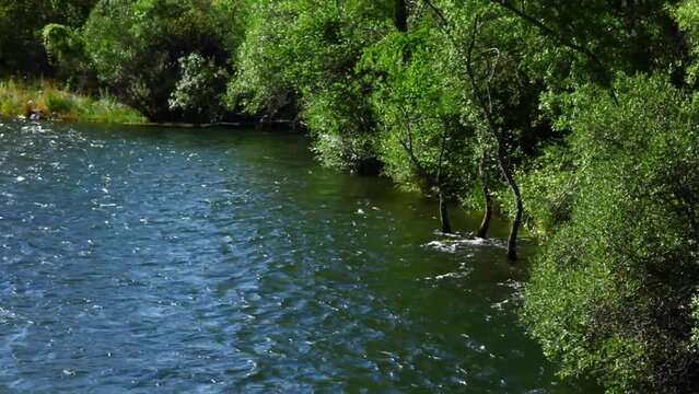 Sabero river in the province of Leon. lush green trees