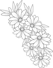 illustration of a daisy flower