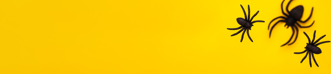 Flat lay levitation banner of tree black horror spiders of different sizes directions on yellow backdrop with copy space. Halloween decoration spooky background concept for holidays