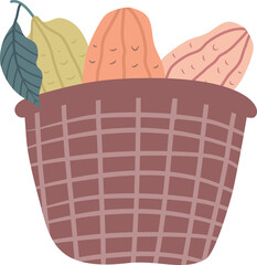 Obraz premium cocoa