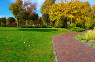 Autumn park with colorful fall foliage