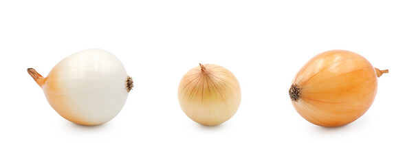 Onion bulb set isolated on white background	