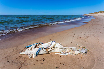 Alien Object on the Beach 18