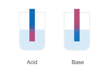 The expression is a metaphor based on the litmus test in chemistry, in which one is able to test the general acidity of a substance, but not its exact pH. 