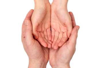Adult palms holding child's hands