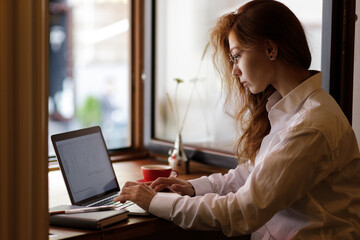 Young beautiful woman working with laptop in cafe near the window