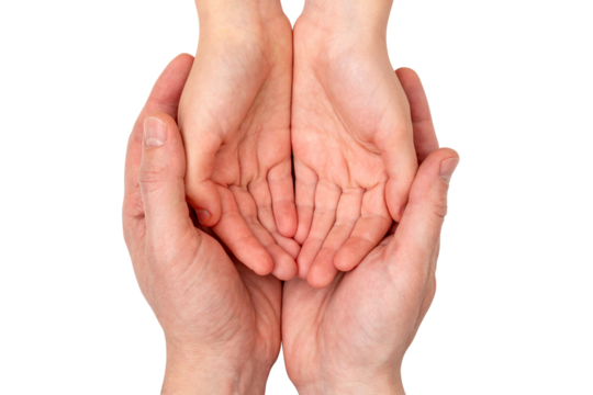 Adult palms holding child's hands