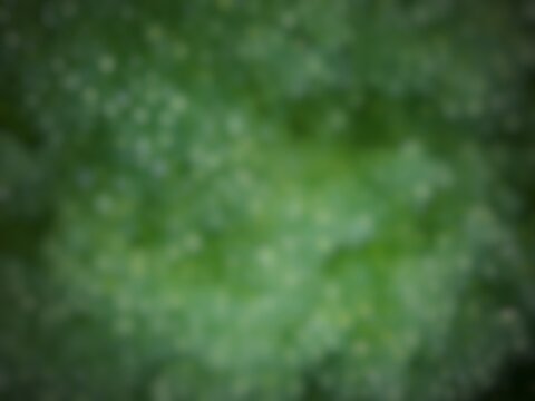 gradient blur background image