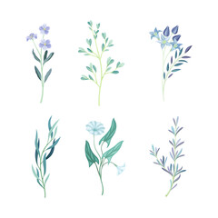 Fototapeta na wymiar Blue Floral Twigs with Leaf and Floret on Curved Stem as Fresh Garden Botany Vector Set