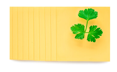 Cheese  isolated on white background. Slices of cheese for burger