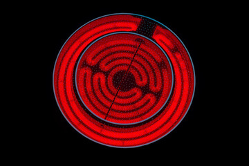 close-up of a round red glowing induction stove