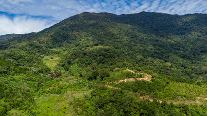 Aerial view of tropical forest, Aceh, Indonesia.