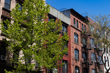 Row of Colorful Old Brick Apartment Buildings in the East Village of New York City during Spring