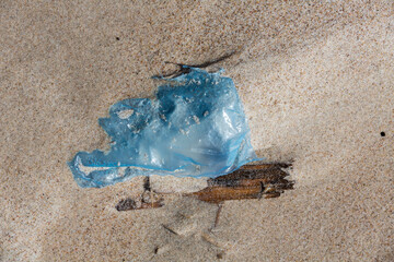 Alien Object on the Beach 19