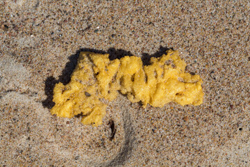 Alien Object on the Beach 20