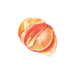 Hand drawn illustration of peeled sliced mandarin isolated on white background. Artwork for food blog, citrus products, prints, food packaging.
