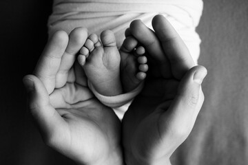 The palms of the parents. A father and mother hold a newborn baby by the legs. 