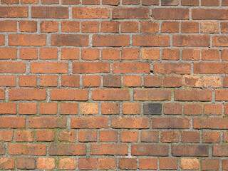Obraz premium red brick wall texture background