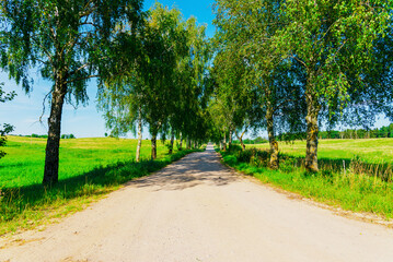 Fototapeta na wymiar Summer Empty Country Road With Trees Beside.Landscape Concept. Long gravel road in summer nature landscape.